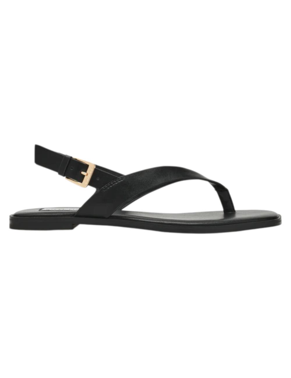 Steve Madden Nissi Leather Sandals Black